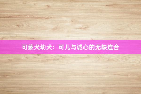 可蒙犬幼犬：可儿与诚心的无缺连合