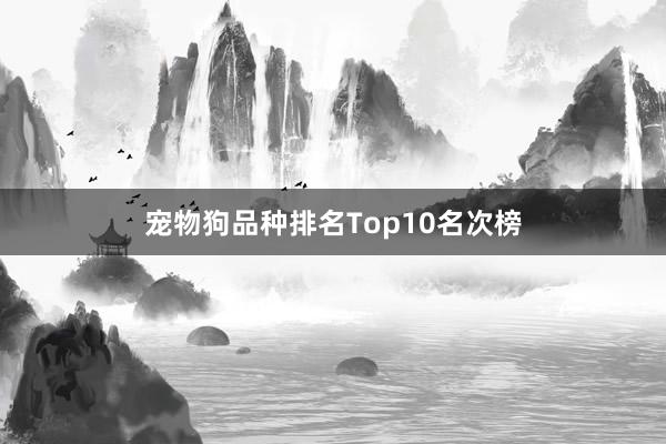 宠物狗品种排名Top10名次榜
