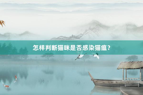 怎样判断猫咪是否感染猫瘟？