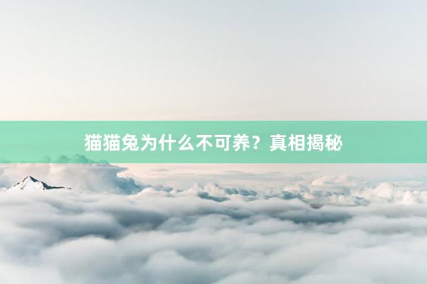 猫猫兔为什么不可养？真相揭秘