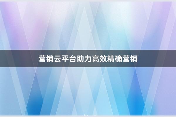 营销云平台助力高效精确营销